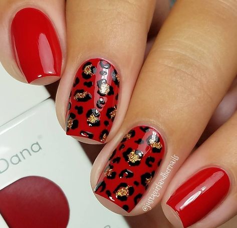 Boxing Nails, Red And Animal Print Nails, Short French Nail Designs, Red Cheetah Print Nails, Leopard And Burgundy Nails, Red And Leopard Print Nails, Red And Lepord Nails Acrylic, Red Animal Print Nails, Red And Gold Leopard Nails