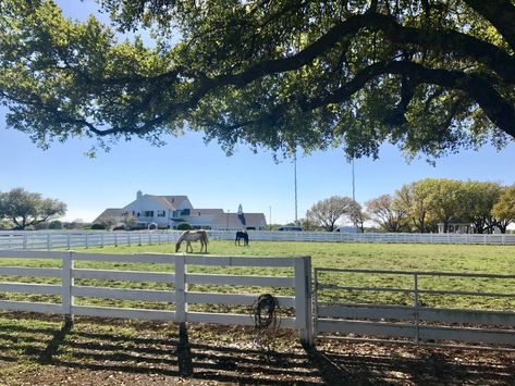 Dallas TV Show’s 40th Anniversary Celebration at Southfork Ranch – The Rose Table Southfork Ranch, Dallas Tv Show, Things To Do In Dallas, 40th Anniversary, Anniversary Celebration, The Rose, Monument Valley, Dallas, Things To Do