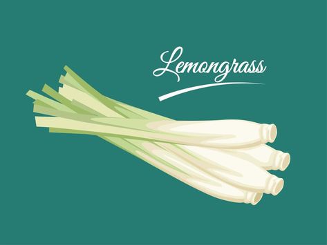 Lemon Grass Illustration, Lemongrass Illustration, Green Background, Lemon Grass, Green Backgrounds, Design Logo, Sticker Labels, Vector Art, Stock Illustration