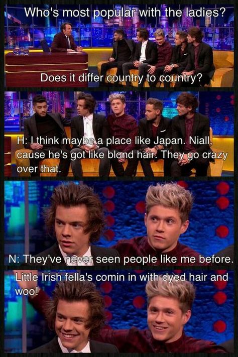 One Direction Funny Pics, One Direction Funny, Funny Interview, 1d Funny, Funny Chat, One Direction Humor, One Direction Memes, One Direction Pictures, James Horan