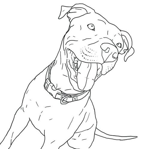 Puppies Coloring Pages Girl Pitbull Pitbull Colors, Pitbull Drawing, Pit Bull Puppies, Pitbull Art, Blue Nose Pitbull, Puppy Coloring Pages, Puppy Drawing, Dog Coloring Page, Pitbull Puppy