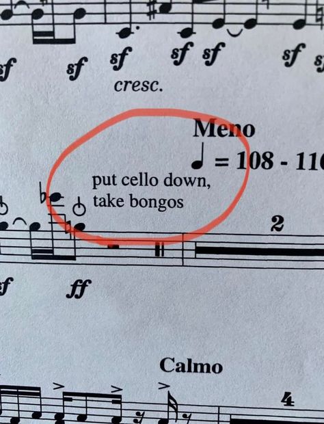 Music Annotations, Funny Band Jokes, Orchestra Humor, Musician Memes, Musician Jokes, Musician Humor, Music Notation, Marching Band Humor, Band Jokes