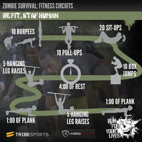 . Zombie Survival Guide, Crossfit Wods, Gym Plan, Hardcore Workout, Love Handle Workout, Killer Workouts, Muscles In Your Body, Gym Tips, Zombie Survival