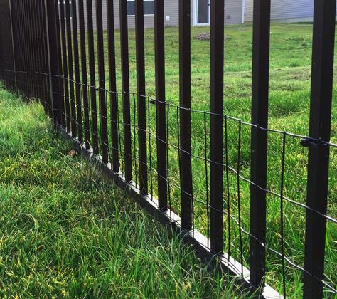 Welded Wire Fence Accents Iron and Aluminum Fence and Will Keep Your Small Dog Contained Dog Proof Fence, Rod Iron Fences, Wrought Iron Fence Panels, Iron Fence Panels, Diy Dog Fence, Backyard Jungle Gym, Welded Wire Fence, Wrought Iron Fence, Black Fence