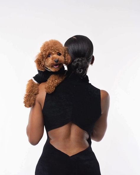 Dog Birthday Photoshoot, Dog Mom Aesthetic, Aesthetic Animals, Animal Photoshoot, Mom Aesthetic, Puppy Mom, Dog Mommy, Beautiful Photoshoot Ideas, Holiday Photoshoot