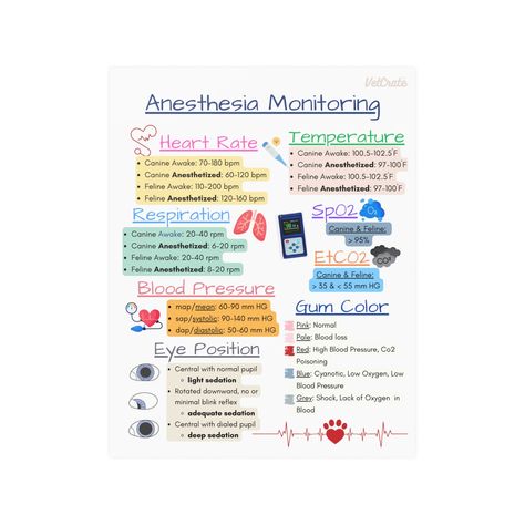 Introducing our Veterinary Anesthesia Monitoring Posters, the perfect tool to bring a touch of fun and efficiency to every veterinary practice. Designed with a delightful array of visuals, this poster not only adds a pop of color but also serves as a reliable companion during anesthesia procedures. What sets our Veterinary Anesthesia Monitoring Posters apart is its incorporation of fun visuals.  It creates a positive atmosphere while maintaining a professional and functional tool. This poster is not only visually appealing but also practical. It aids in ensuring the safety and well-being of patients throughout the anesthesia process. Whether you're a veterinarian, veterinary technician, or assistant, our Veterinary Anesthesia Monitoring Poster is a must-have accessory for your daily practi Veterinary Anesthesia Monitoring, Anesthesia Monitoring, Veterinary Anesthesia, Veterinary Nurse, Veterinary Technician, Veterinary Medicine, Daily Practices, Veterinarian, Medicine