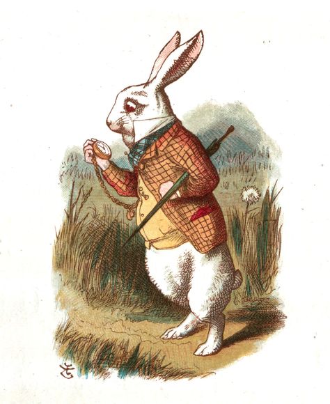 alice in wonderland illustrations colour - Google Search Sir John Tenniel, White Rabbit Alice In Wonderland, Easter Bunny Pictures, Alice In Wonderland Vintage, Alice In Wonderland Illustrations, John Tenniel, Go Ask Alice, Rabbit Illustration, White Rabbits