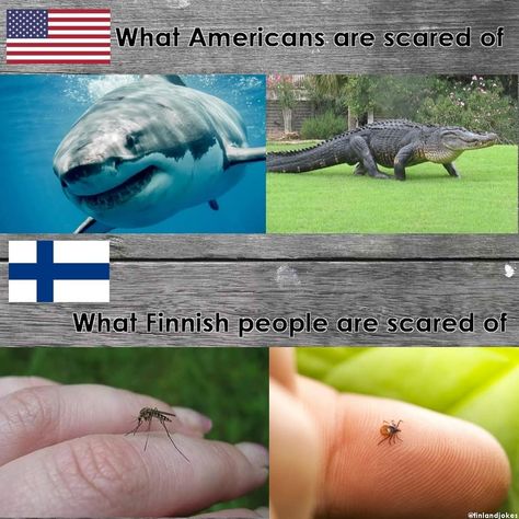 Finnish Memes, Meanwhile In Finland, Finland Culture, Vegan Fitness, Tag Someone Who, Funny Me, Tag Someone, Hetalia, Finland