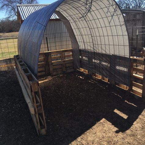 Horse Shavings Storage Ideas, Pony Enclosure, Cow Shelter Ideas, Horse Shed, Livestock Shelter, Goat Shelter, Horse Farm Ideas, Goat House, Cattle Panels