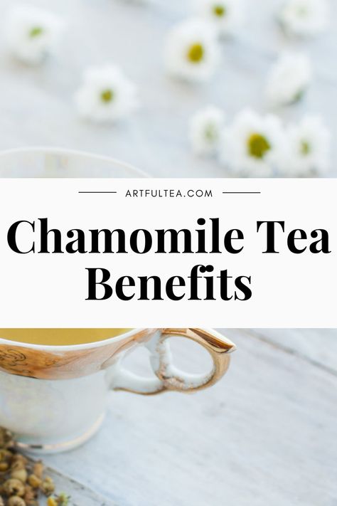 Chamomile tea is full of health benefits! It's good for reducing inflammation, soothing colds, aiding sleep, and much more. #looseleaftea #herbalinfusions #chamomilebenefits Benefits Of Chamomile Tea, Benefits Of Chamomile, Chamomile Tea Benefits, Herbal Teas Recipes, Green Juice Recipes, Juicer Recipes, Healthy Teas, Seasonal Allergies, Tea Benefits