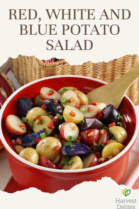 Red, White and Blue Potato Salad won't last long at your Memorial Day gathering! #MemorialDay #LastMinuteRecipe #EasyDish #Appetizer #SideDish #Potatoes #QuickRecipes Blue Potatoes, Small Red Potatoes, Chopped Ham, Purple Potatoes, White Balsamic Vinegar, White Potatoes, Grilled Steak, Easy Dishes, Red Potatoes