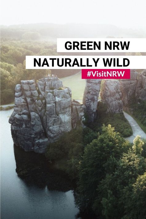 Looking for some time out in the outdoors? Then North Rhine-Westphalia with its national park and nature parks is your place! Go hiking, forest bathing or just enjoy the moment. #VisitNRW #Germany #outdoorexperience #naturetrips #travelinspiration Most Beautiful Nature, Nature Parks, Hiking Forest, Enjoy The Moment, North Rhine Westphalia, Forest Bathing, Go Hiking, Nature Reserve, Time Out