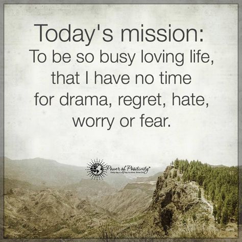 Leading a positive and stress free life is important for your health! Who's up to the challenge? www.GeorgesChiropractic.com On A Mission Quotes, No Time For Drama Quotes, No Time For Drama, Mission Quotes, No More Drama, A Course In Miracles, Drama Quotes, Special Words, Positive Quotes Motivation