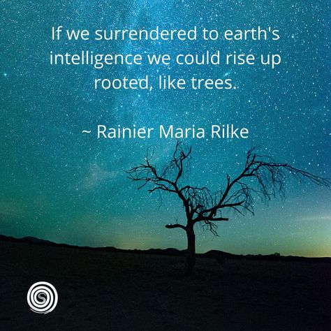 Rainier Maria Rilke, Rainier Maria Rilke Quotes, Rooted Quotes, Spin Quotes, Rilke Poems, Surrender Quotes, Rainer Maria Rilke Quotes, Nature Poems, Rilke Quotes