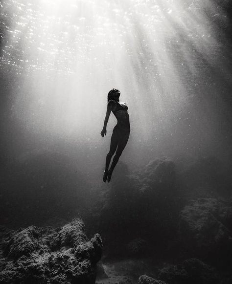 Underwater Portrait, Sea Of Cortez, Black And White Photo Wall, Underwater Art, Black And White Picture Wall, Underwater Photos, Purpose Driven, Water Photography, Foto Art