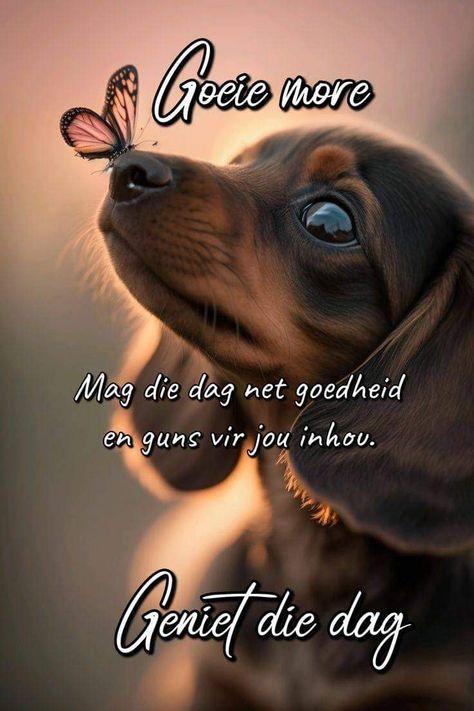 More Boodskappies Afrikaans, Geniet Jou Dag Afrikaans, Oulike Goeie More Boodskappies, Mooi Dag Vir Jou Afrikaans, Goeie More Boodskappe, Goeie More Afrikaans, Wallpaper Puppy, Cute Owl Drawing, Good Night Love Pictures