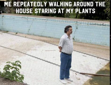 Plant Jokes, Gardening Memes, Gardening Humor, Plants Are Friends, Time Passing, Garden Animals, Diy Backyard Landscaping, Pretty Plants, Plant Mom