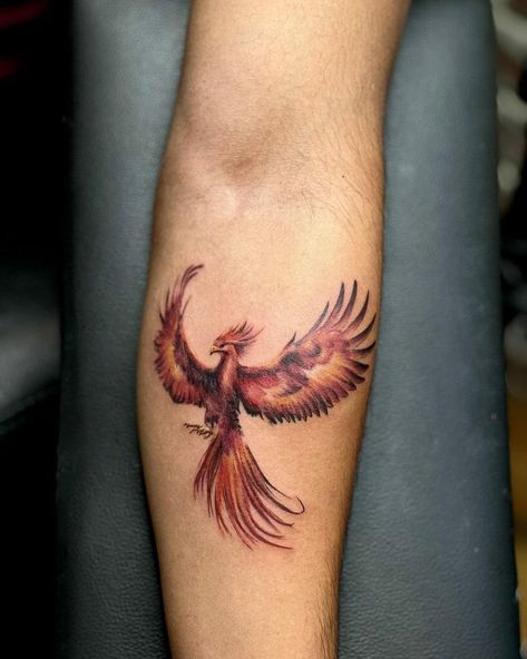 Phoenix Tattoo For Women, Phoenix Tattoo Women, Tattoos Behind Ear, Tato Phoenix, Phoenix Tattoo For Men, Fierce Tattoo, Small Phoenix Tattoos, Phoenix Bird Tattoos, Phoenix Tattoos