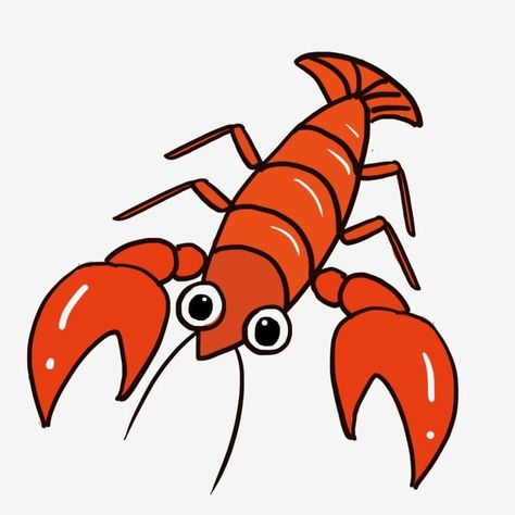 Freshwater Lobster, Vbs 2024, Water Animals, Fresh Water, Rooster, Animals, Anime, Quick Saves