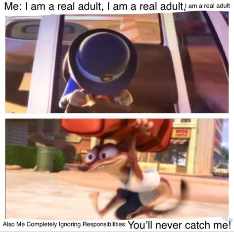 Judy Hopps, Zootopia, Duke Weaselton, memes, funny, Disney meme, adulting struggles, adults Duke Weaselton, Zootopia Judy Hopps, Zootopia Judy, Funny Disney, Judy Hopps, Zootopia, Memes Funny, Funny Memes, Disney