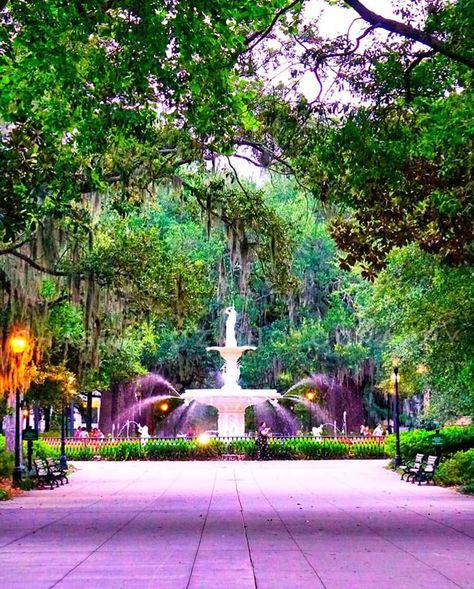 Forsyth Park, Southern Charm, Creative Thinking, Savannah, Savannah Chat, The Beauty, Garden Decor, Outdoor Decor, Photography