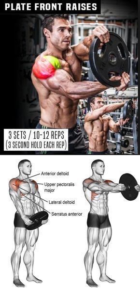 Fitness Studio Training, Transformation Fitness, Gym Antrenmanları, Front Raises, Trening Fitness, Weight Training Workouts, Workout Chart, Chest Workouts, Biceps Workout