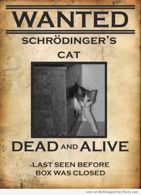 WANTED Schrödinger's cat - Dead and Alive #catoftheday Ingenieur Humor, Physics Jokes, Humour Geek, Nerdy Jokes, Physics Memes, Physics Humor, Nerdy Humor, Schrödinger's Cat, Psychology Jokes