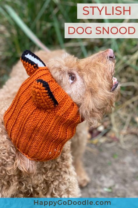 Knitting Patterns For Dogs, Snood Knitting Pattern, Newsboy Hat Pattern, Crochet Pets, Dog Closet, Crochet Dog Hat, Snood Pattern, Dog Hats, Crochet Snood