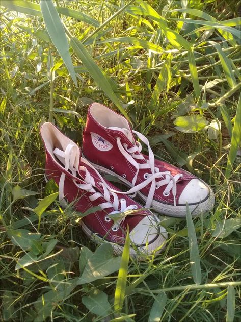 Dark Red Converse, Aesthetic Burgundy, Burgundy Converse, Knee High Converse, Cute Converse Shoes, Converse Aesthetic, Cute Converse, Red Converse, All Stars Converse