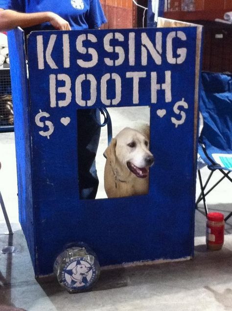 25+ Fun and Creative Fundraising Ideas 2017 Creative Fundraising, Philanthropy Events, School Carnival, Kissing Booth, Fundraising Ideas, Charity Events, Fundraising Events, Golden Retrievers, Humane Society