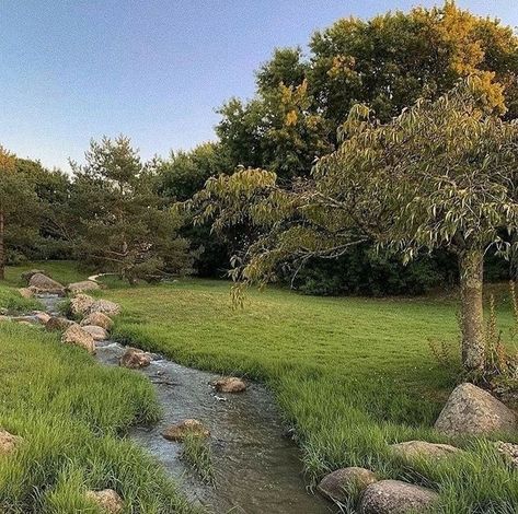 Spring Aesthetic, Nature Aesthetic, Spring Day, Pretty Places, Green Aesthetic, Nature Pictures, Happy Places, Mother Nature, Beautiful Nature