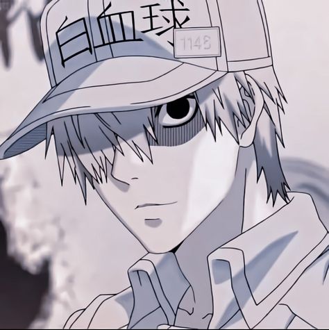 White Blood Cell from Cells At Work White Blood Cell, Work Icon, Cells At Work, Blood C, White Blood, White Blood Cells, Blood Cells, Manga Characters, My Hero Academia Manga