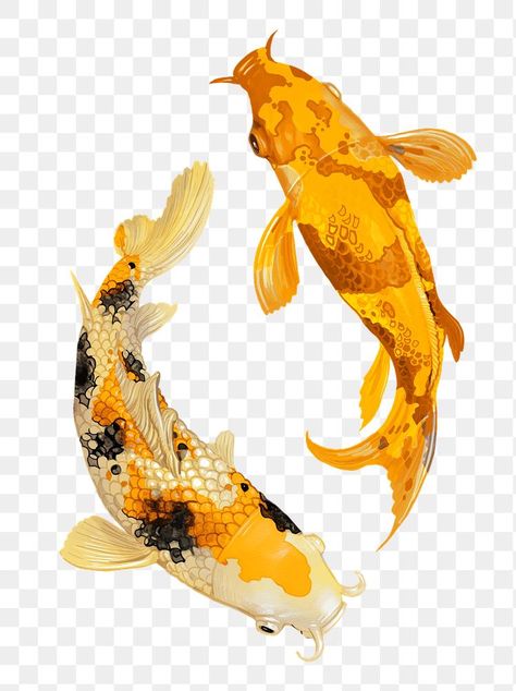 Koi Illustration, Aesthetic Fishing, Koi Fish Swimming, Fish Japanese, Ikan Air Tawar, Fish Tank Themes, Swimming Pictures, Koi Painting, Japanese Koi Fish