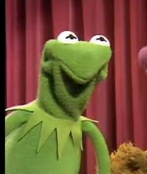 Kermit Face, Kermit The Frog Memes, Elmo Memes, Sapo Kermit, Kermit Meme, Kermit Memes, Kermit Funny, Frog Wallpaper, The Muppet Show