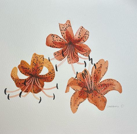 Tiger Lily, Day 3 of #oshuchallenge 5 Day Sketch Challenge. I’m starting to really understand a Tiger Lily. 🐯 https://www.sarahharrizdesign.com/ #sarahharrizdesign #sketchchallenge #watercolor #watercolorpainting #aquarellee #painting #watercolorart #ink #inkart #mixedmedia #flowers #printandpattern #patternoftheday #patternobsessed #productdesigner #homewares #homegoods #homeinspo #theydrawandgarden #surfacedesigncommunity #surfacedesigner #surfacedesigntribe #patterndesign #surfacepatte... Tiger Lily Drawing, Lillies Tattoo, Lilies Drawing, Lily Flower Tattoos, Bathroom Reno, Sketch Challenge, A Tiger, Tiger Lily, Lily Flower