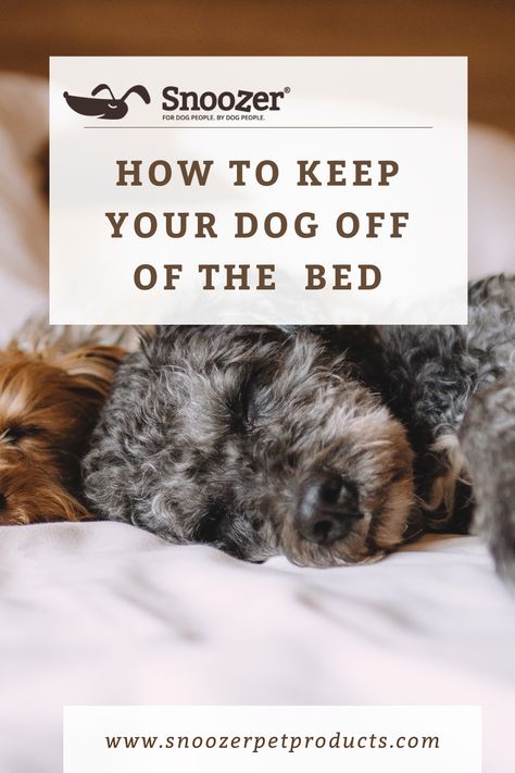 Are you looking for a way to keep your dog off your bed? Learn how to keep your dog off the bed and happier than ever with our expert dog training tips. How To Get Your Dog To Stop Nipping, How To Control Dog Shedding, How To Teach Your Dog To Go To Bed, Dog Bed From Duvet, Sleeping With Dogs In Bed, Pet Advice, Dog People, Dog Blog, Dog Training Tips