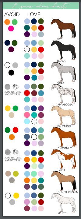 Horse Colour Chart, Horse Tack Color Guide, Horse Tack Color Chart, Horse Color Chart Tack, Tack Colors For Horses, Palomino Horse Tack Color, Palomino Tack Colors, Bay Horse Tack Colors, Cavalo Palomino