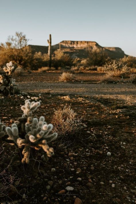 Mesa Landscape, Southwest Aesthetic, Desert Waves, Desert Aesthetic, Aesthetic Landscape, Desert Environment, Desert Dream, Desert Life, Desert Vibes