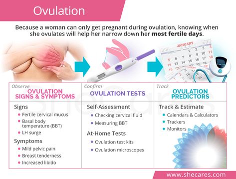 Because you can only get pregnant during ovulation, knowing when you ovulate can help you narrow down your most fertile days. Click here to learn more! Signs Your Pregnant, Ovulation Signs, Ovulation Symptoms, Conception Tips, Fertility Day, Ovulation Calendar, Ovulation Cycle, Ovulation Tracking, Ovulation Test