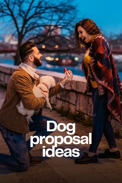 Proposal With Dog Ideas, Dog Proposal Ideas Engagement, Proposal With Puppy, Proposals With Dogs, Dog Proposal Ideas, Proposal With Dog, Proposal Ideas With Dogs, Puppy Proposal, Dog Marriage