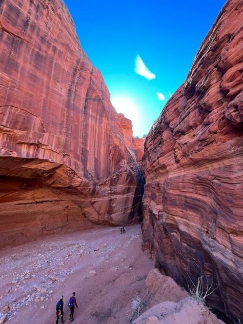 Buckskin Gulch Utah, Spontaneous Travel, Buckskin Gulch, Utah Trip, Kanab Utah, Slot Canyons, Geographical Features, Utah Vacation, Utah Road Trip