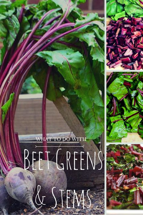 Recipe: Sautéed Beet Greens with Pickled Stems | How to use beet greens and stems | My Migraine Miracle | Ancestral Living for Migraine Freedom | www.mymigrainemiracle.com Beet Stems, Beet Green Recipes, Sauteed Beet Greens, Growing Beets, Cooking Beets, Interior Remodeling, Beet Recipes, Pickled Beets, Beet Greens