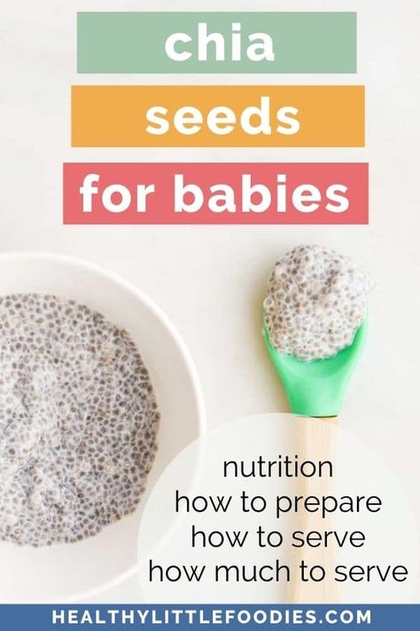 Chia seeds are becoming increasingly common because of their functional and nutritional properties. However, there are a few things to consider before adding these, nutrient-packed, seeds to your baby's diet. Read this guide to find out the benefits of chia seeds, how to prepare them and serving suggestions. Chia Seed Recipes Blw, Chia Seed Pudding Blw, Chia Seed Baby Food Recipes, Chia Seed Pudding For Babies, Baby Chia Pudding, Chia Pudding For Babies, Chia Seed Yogurt, Blw Recipes, Baby Meals