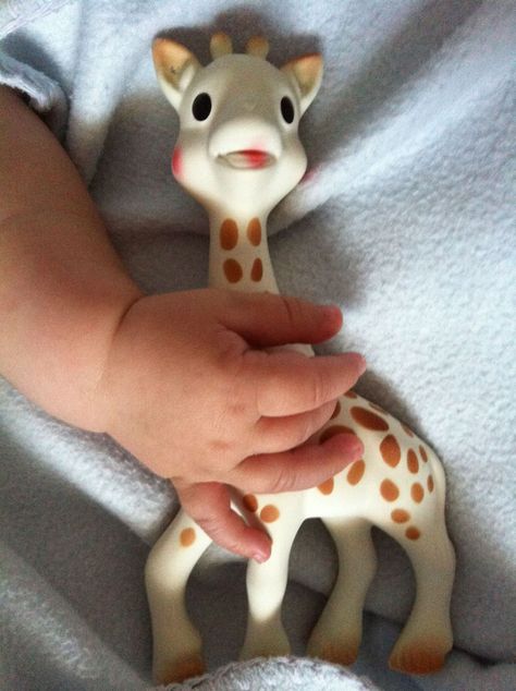 Ostheimer Toys, Sophie The Giraffe, Playful Parenting, Teething Symptoms, Teething Remedies, Giraffe Toy, Prenatal Workout, Tiny Hands, Eco Toys