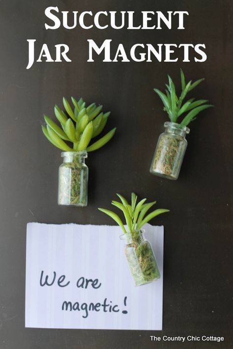 Diy Magnets, Country Chic Cottage, Diy Kitchen Decor, Diy Holiday Gifts, Mini Succulents, Cactus Y Suculentas, Deco Floral, Succulents Diy, Cheap Diy