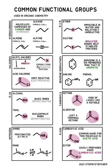 Names and structures of common functional groups found in organic molecules. Functional Groups Organic Chemistry, Organic Chemistry Cheat Sheet, Organic Chemistry Notes, Organic Chem, Chemistry Posters, Organic Chemistry Study, Chemistry Study Guide, Chemistry Basics, Study Chemistry