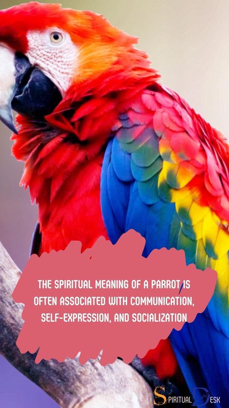 The spiritual meaning of a parrot is often associated with communication, self-expression, and socialization. Parrots as spiritual symbols signify the power of honesty and truth, often urging us to vocalize our thoughts effectively. Parrots also embody the power of color, vibrancy, and visibility. #visibility #thought #thoughts #truth #power #symbol Parrot Spiritual Meaning, Symbolism Meaning, Embracing Diversity, Cultural Beliefs, Power Symbol, Spiritual Symbols, Spirit Animals, Spiritual Meaning, Spirit Guides