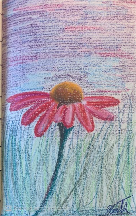 Flower Shading, Nature Drawings, Chalk Pastel Art, Black Paper Drawing, Chalk Pastel, Dry Pastel, Pencil Painting, Oil Pastel Art, Art Parody