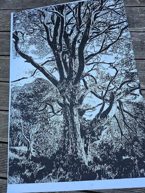 The Survivor/very Large Original Lino-print/landscape Art Print/nature/forest Lino Print/wall Art/well-being Art Print - Etsy Landscape Art Print, Old Tree, Nature Forest, Lino Print, Nature Reserve, Linocut Prints, Wood Veneer, Print Wall Art, Linocut