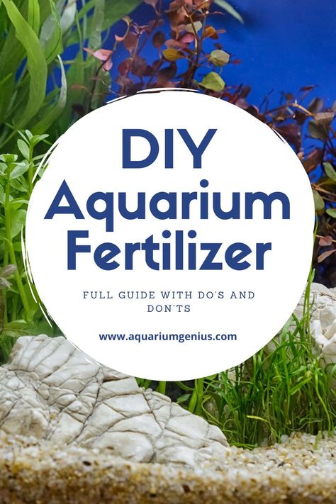 Aquatic plants can be the difference between a plain aquarium and a beautiful, lush green waterscape. However, they need nutrients and minerals for optimal growth. You can add fertilizers to enhance growth – liquid fertilizer and root tabs, but even your own homemade fertilizer should do the trick. #aquarium #aquaticlife #fishkeeping #fishkeeper #aquariumplants #aquascaper #fishtank #aquariumfish Homemade Aquarium, Homemade Fertilizer, Diy Fertilizer, Fishing 101, Diy Aquarium, Aquarium Ideas, Aquarium Plants, Fertilizer For Plants, Liquid Fertilizer